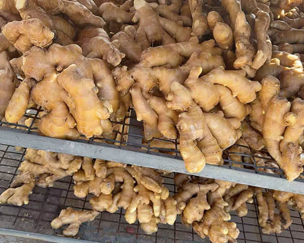 Air-Dried Ginger