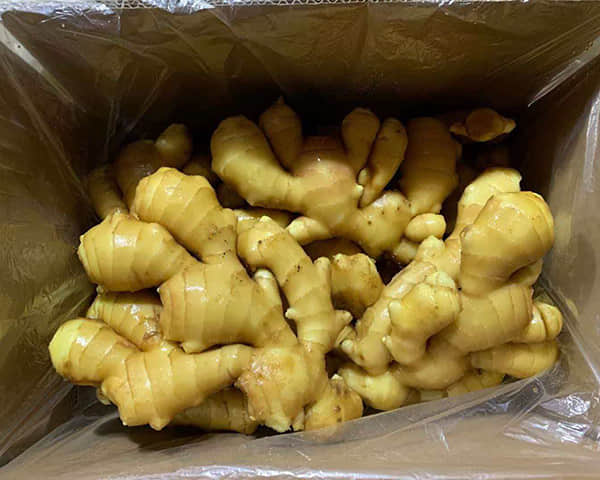 Moisture-Preserved Ginger