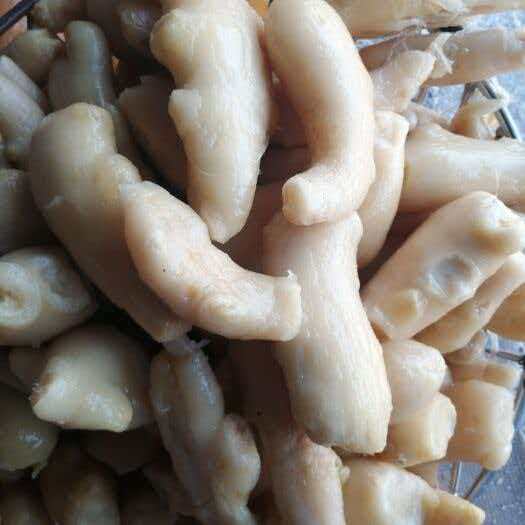 Pickled Ginger