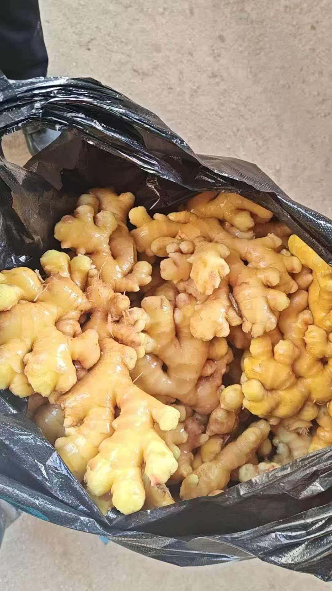 Moisture-Preserved Ginger