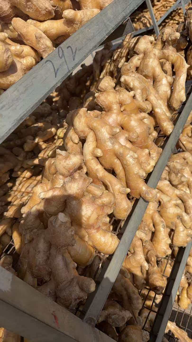 Air-Dried Ginger