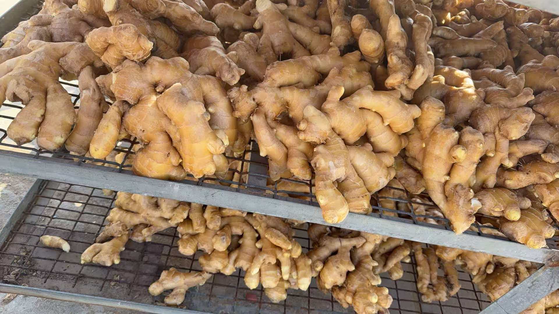 Air-Dried Ginger