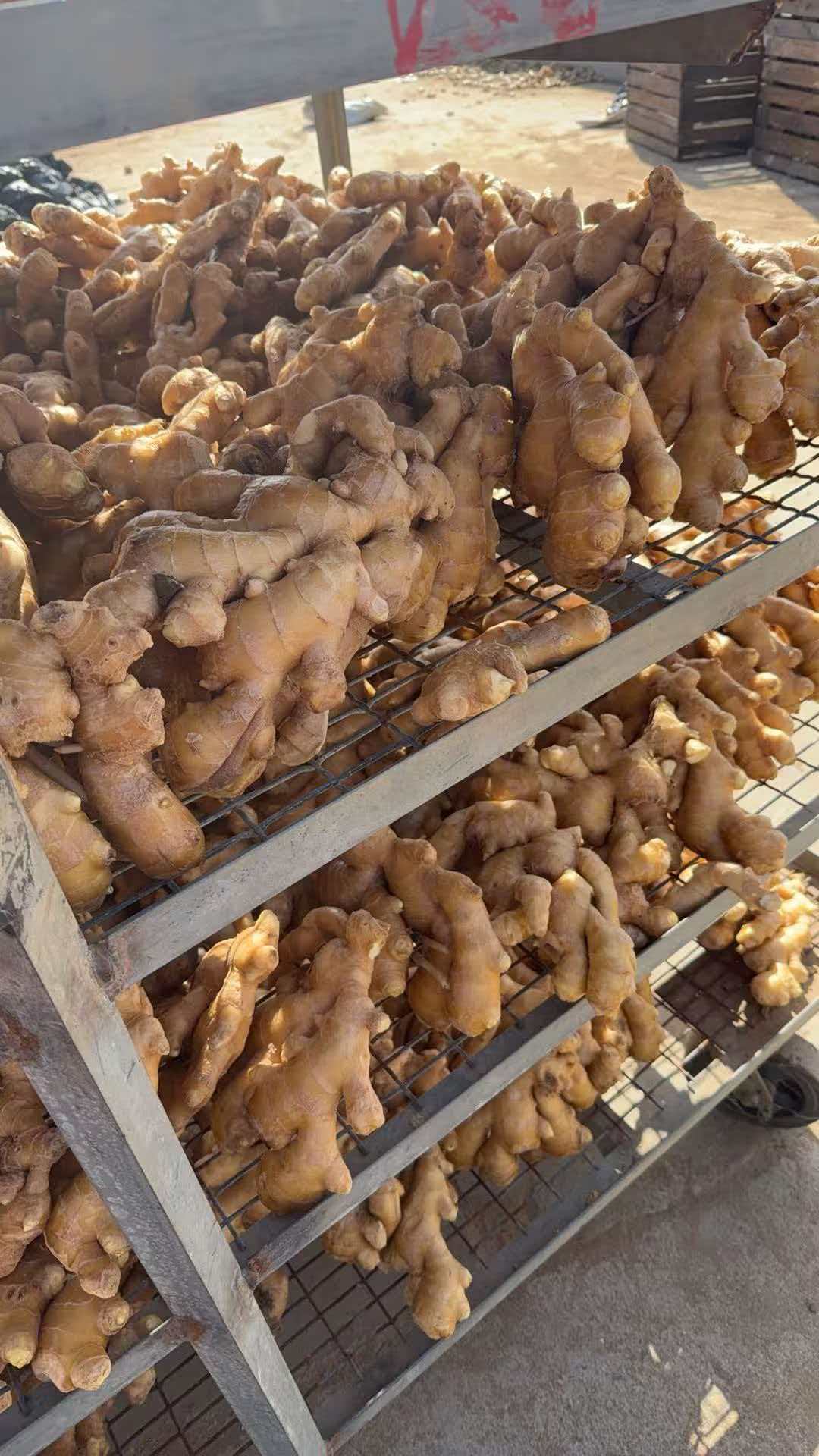Air-Dried Ginger