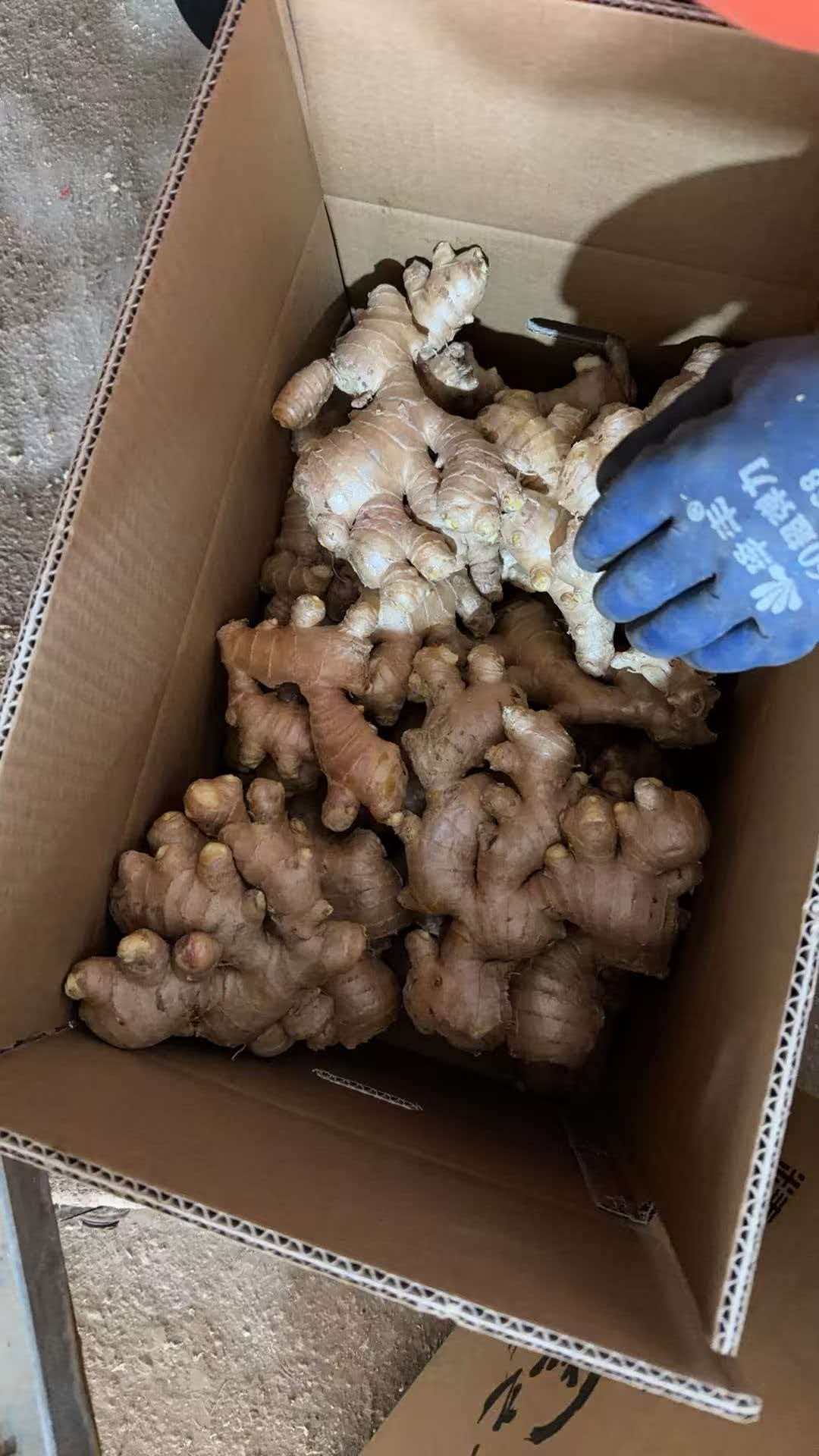 Air-Dried Ginger